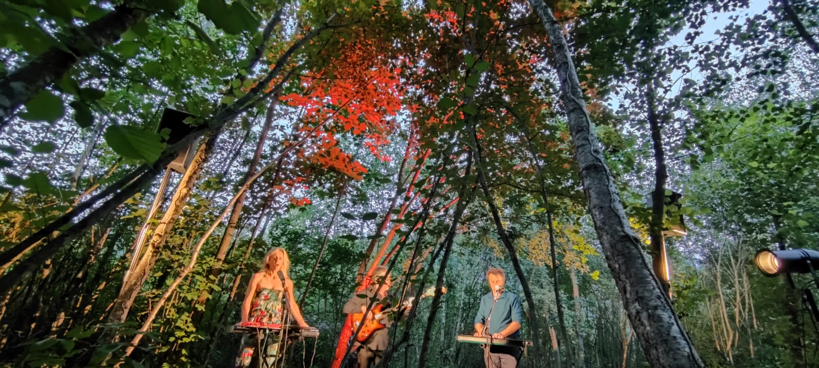 Performance scénique de Mich-Line — extrait live